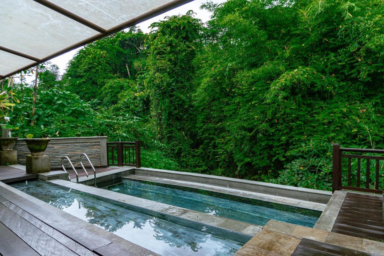 The Pari Sudha Hotel Ubud  Ngoại thất bức ảnh